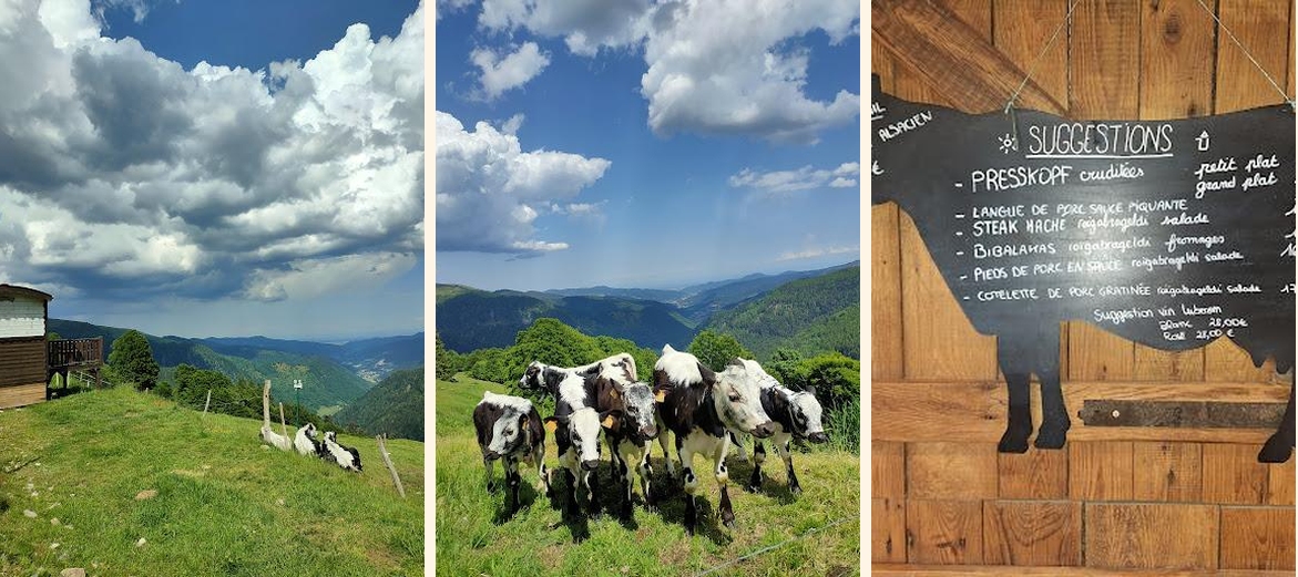 Auberge du Steinwasen - Gallery Image 6